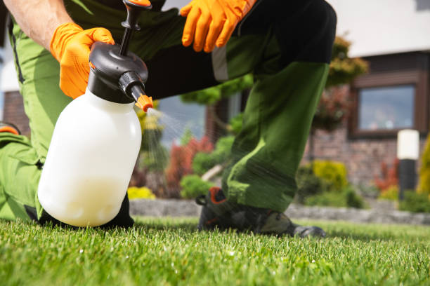 Best Affordable Pest Control Services  in Radcliff, KY
