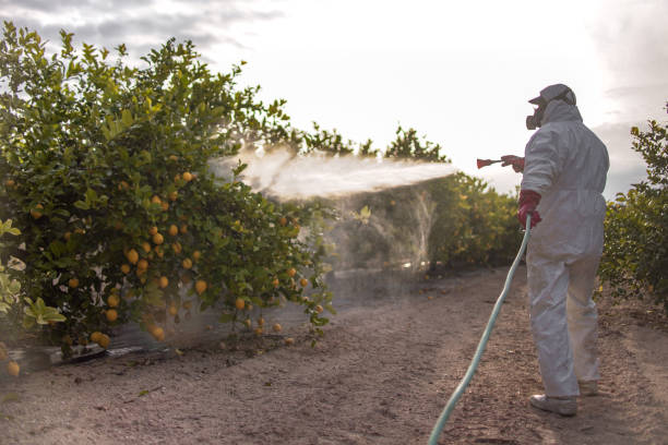 Best Local Pest Control Services  in Radcliff, KY
