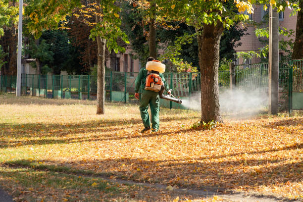Wasp Removal Services in Radcliff, KY