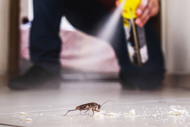 Best Emergency Pest Control  in Radcliff, KY