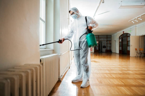 Reliable Radcliff, KY Pest Control Solutions
