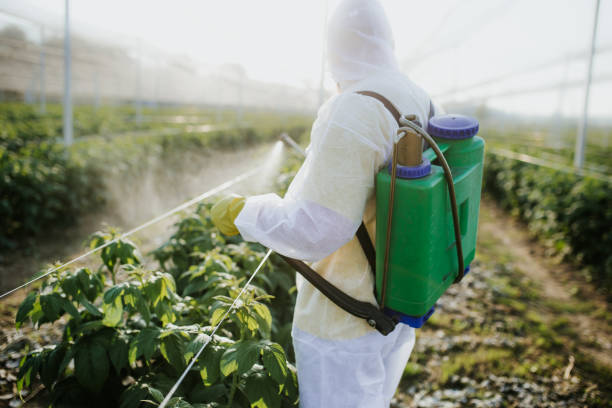 Best Bed Bug Extermination  in Radcliff, KY